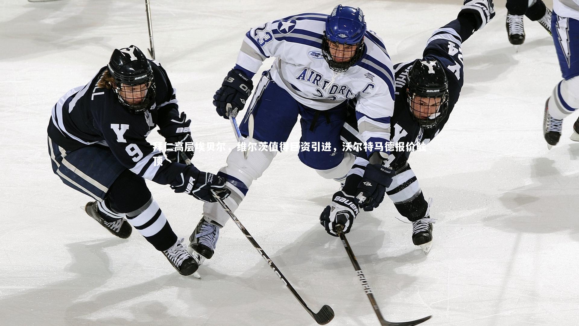 开云APP-拜仁高层埃贝尔，维尔茨值得巨资引进，沃尔特马德报价触顶